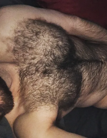 Hairy Bush Bro profile photo