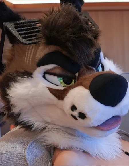 PalaceWolf profile photo
