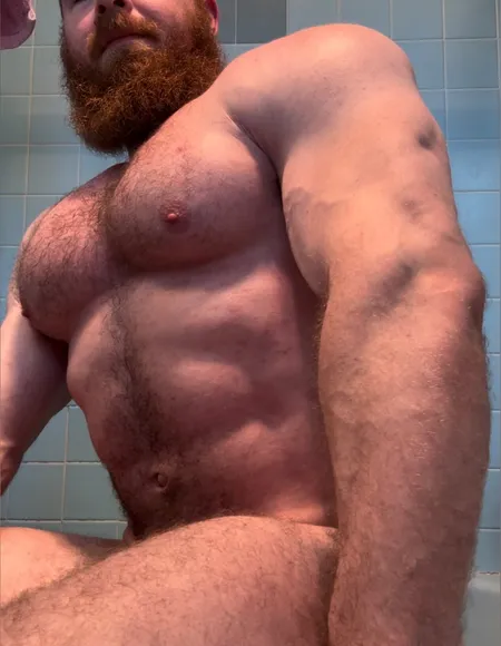 Pec_inspector profile photo