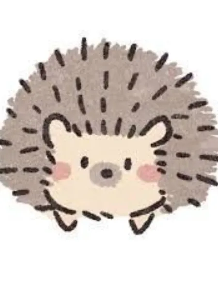 Shiili 🦔🎀 profile photo