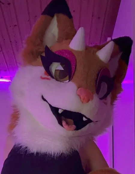 Pinkamer🔞🦊 profile photo