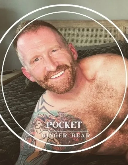 PocketGingerBear profile photo