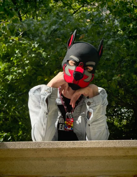 Pup_tunder profile photo