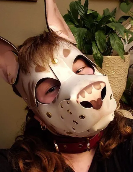 🦴 𝙲𝚘𝚙𝚙𝚎𝚛 🐾 𝚅𝙸𝙿 profile photo