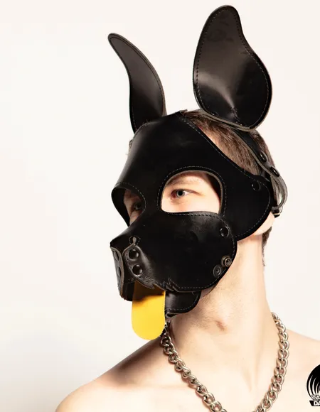 Pup Davey profile photo