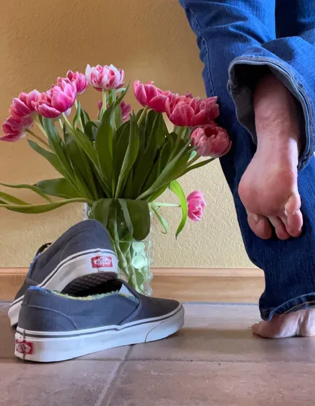 Queen_of_Vans profile photo