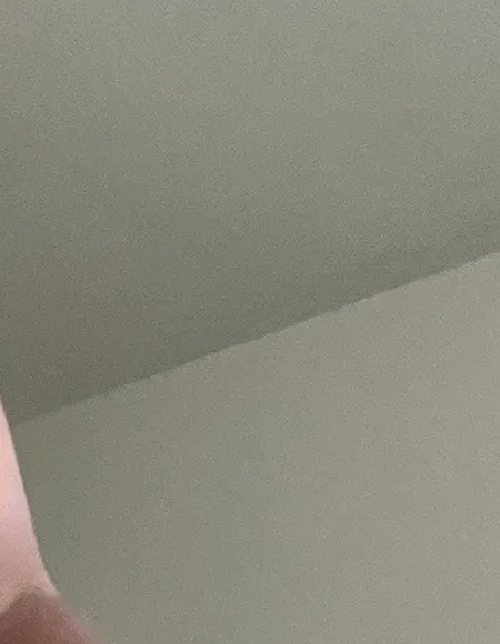ralphdongbate profile photo