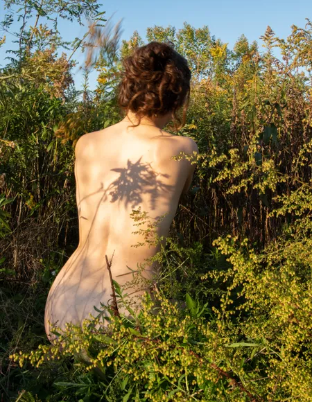 Barefoot Babe profile photo