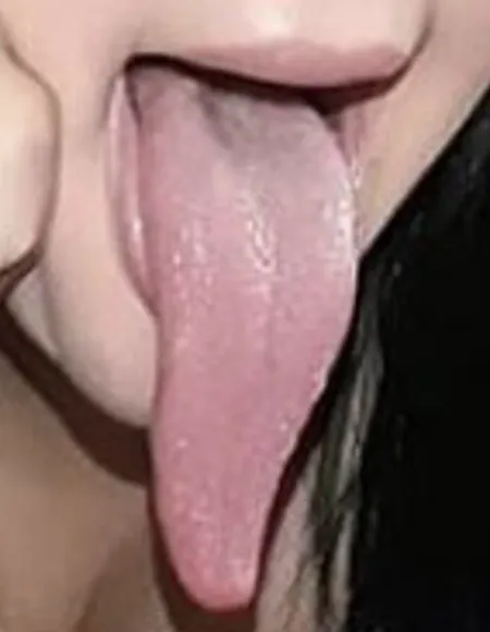 Reptil profile photo