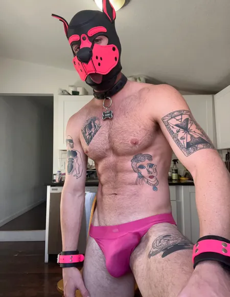 Tattoo Puppy profile photo