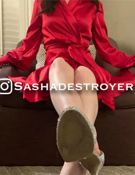 Sasha The Destoyer profile photo