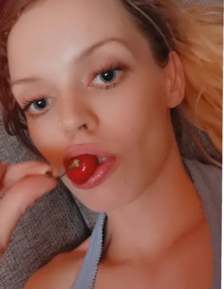 Scandikat profile photo