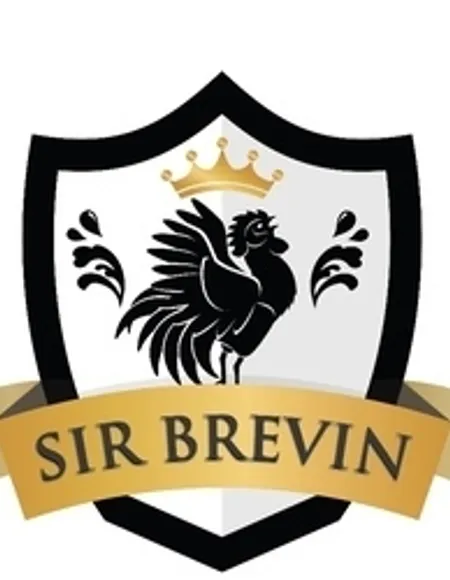 SirBrevin profile photo