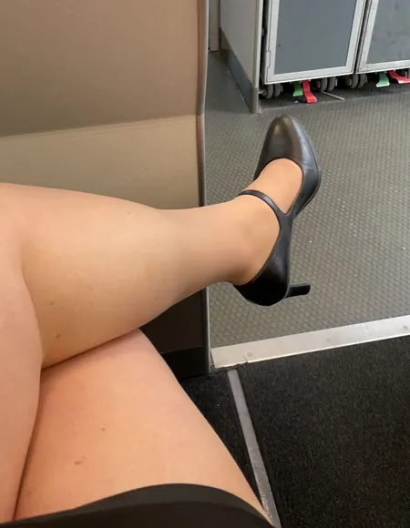 Skyhighstewardess profile photo