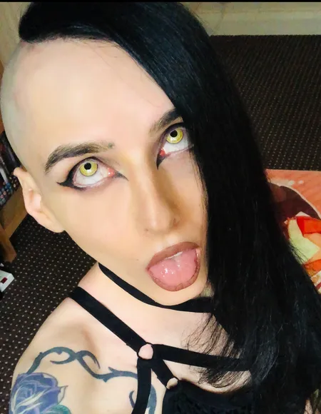 🤍Succubus🤍 profile photo
