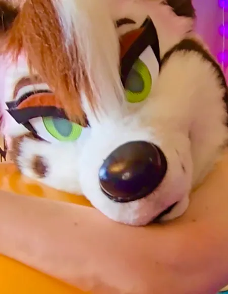 Sundae Huskie 🍨🐾 profile photo
