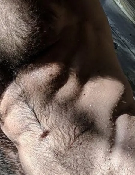 Mr T profile photo