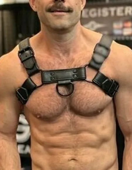 Tom Finland profile photo