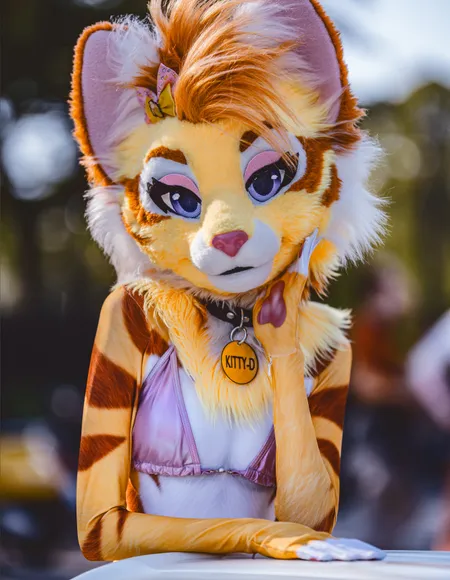 KittyD profile photo