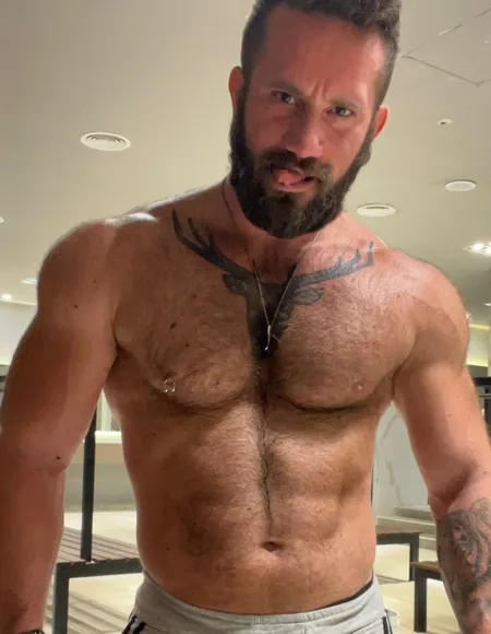 The BeardX FREE profile photo