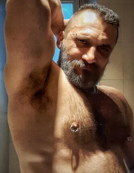 CCB: A Bear in Paris profile photo