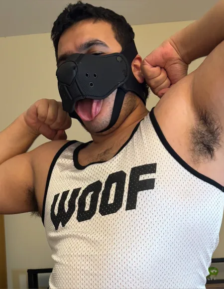 Pup Nico profile photo