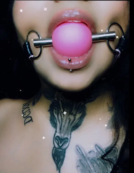 Champagne profile photo