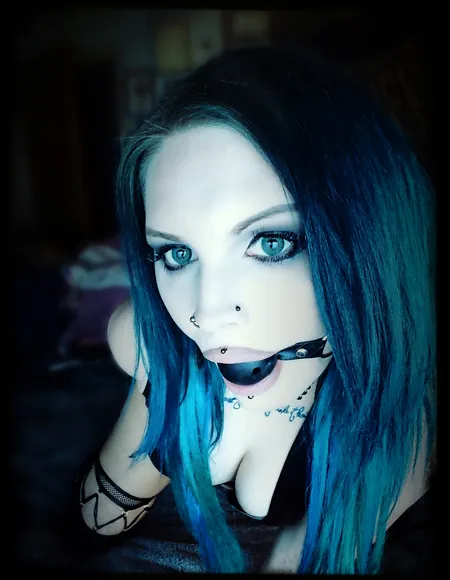 TigerSweetTooth profile photo
