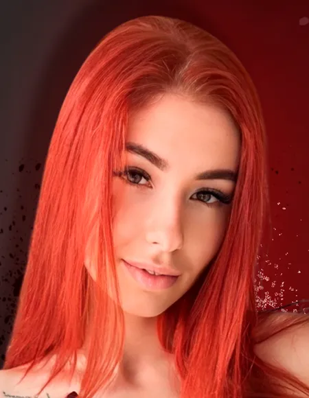 Tiny Fox profile photo
