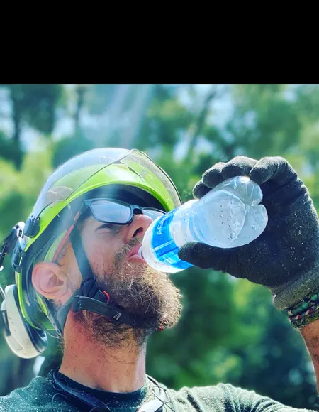 Treesmoney profile photo