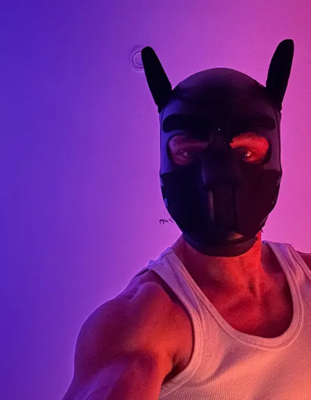 Trykybon 😈 profile photo