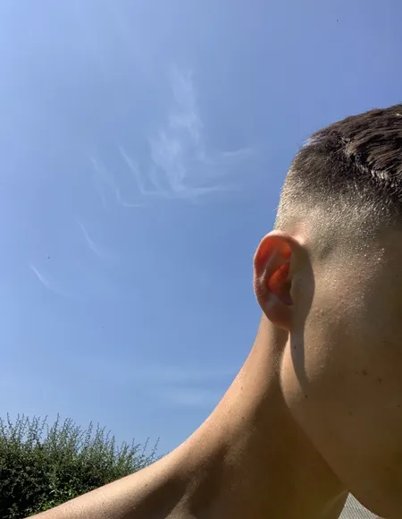 Tyler Rose profile photo