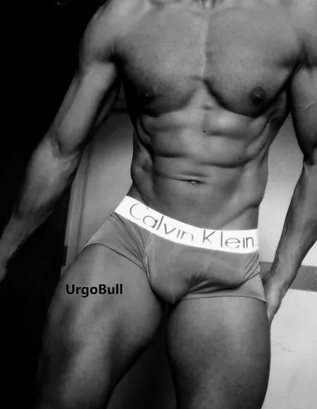 URGOBULL profile photo