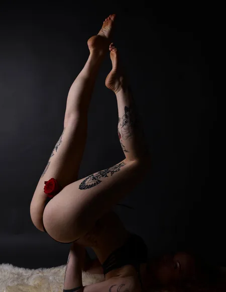 Velvet Scorpion profile photo