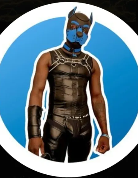 ⚡🌩 Bolt 🌩⚡ profile photo