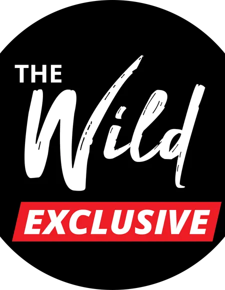 The Wild Exclusive (Free) profile photo