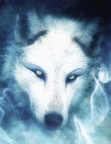 Wolf 🇨🇦 🔥🐺🔥🇨🇦 profile photo