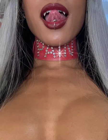 MIDNIGHT⌖ÆON xXx profile photo