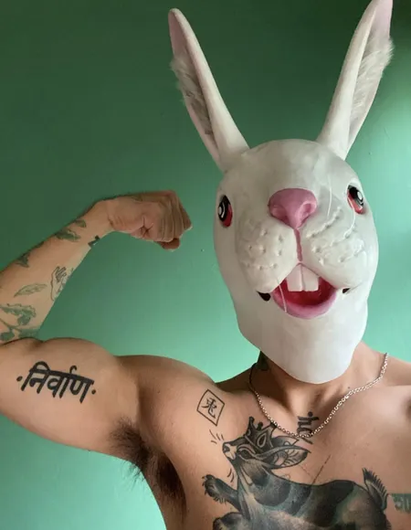El Conejo Rey 🐇👑 profile photo
